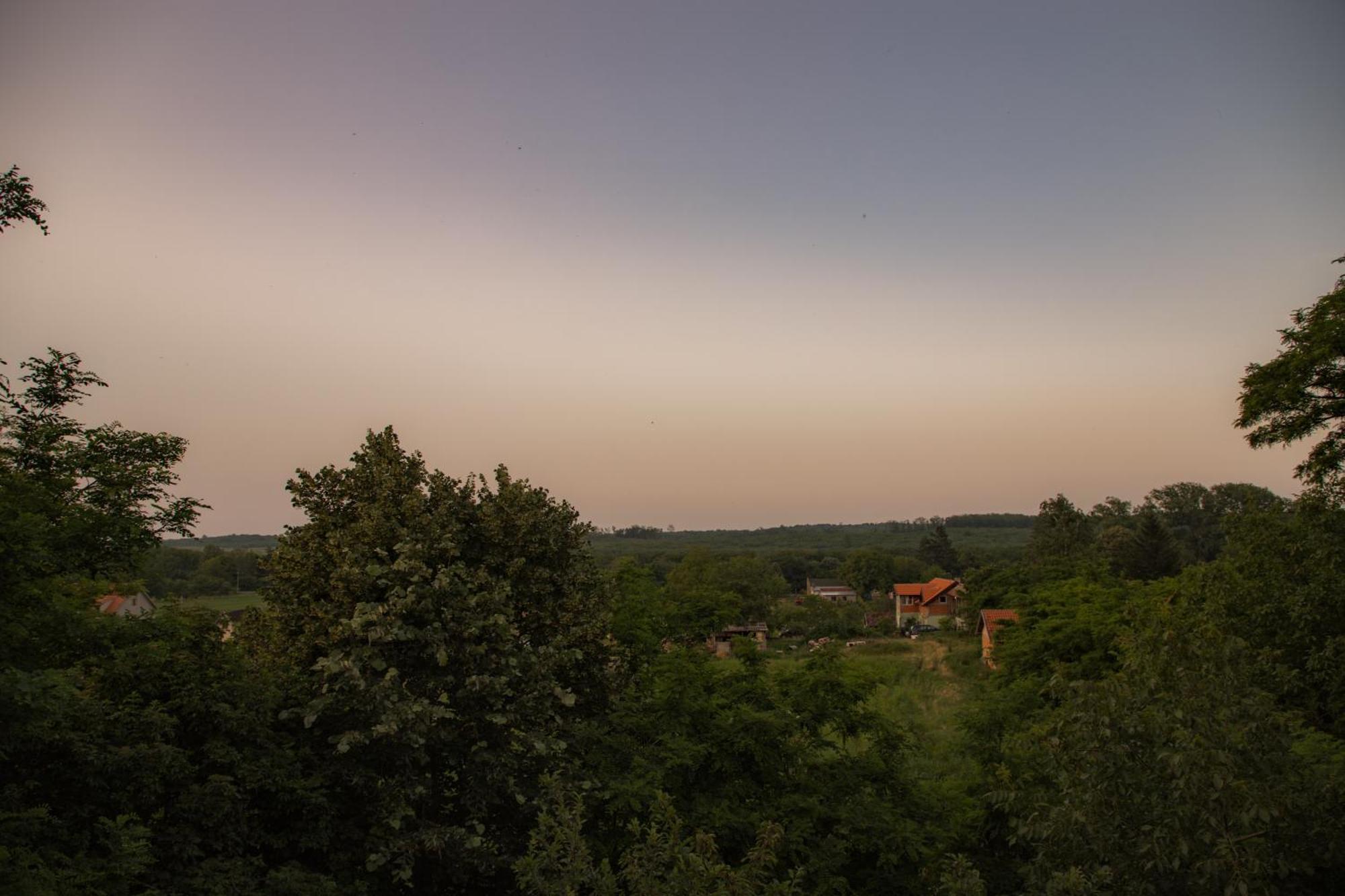 Vila Lio & Restaurant Devojacki Bunar Vladimirovac Pokoj fotografie